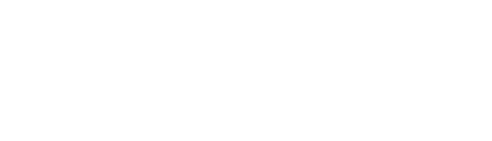 Alpha Safety